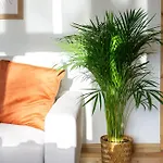 Apartman Roomsy Broniewskiego