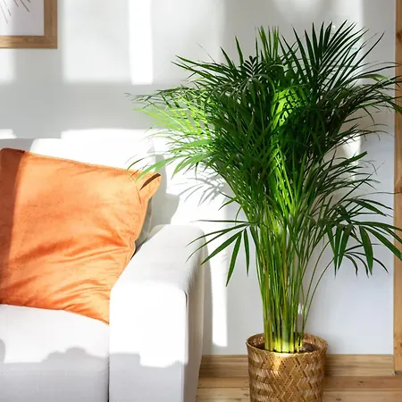 公寓 Roomsy Broniewskiego