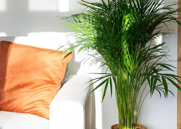 公寓 Roomsy Broniewskiego